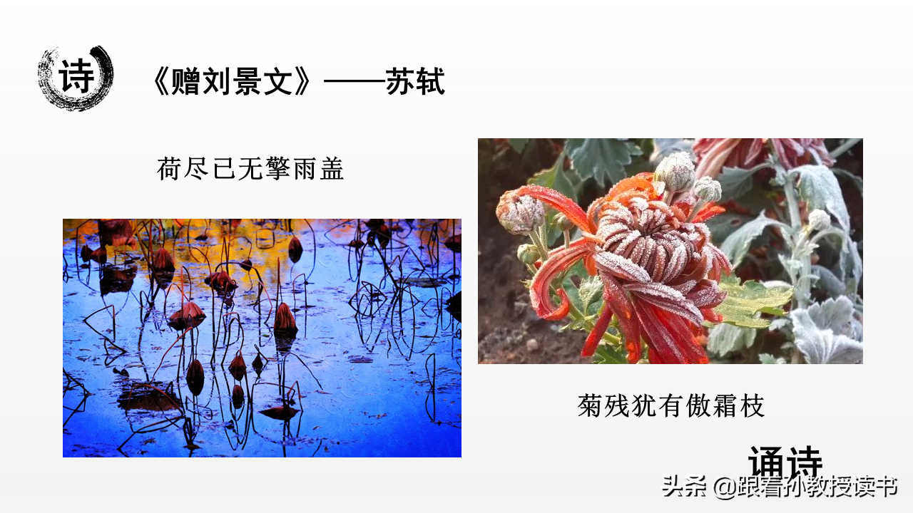 《国民国语》12.4 诵诗：《赠刘景文》——宋 苏轼