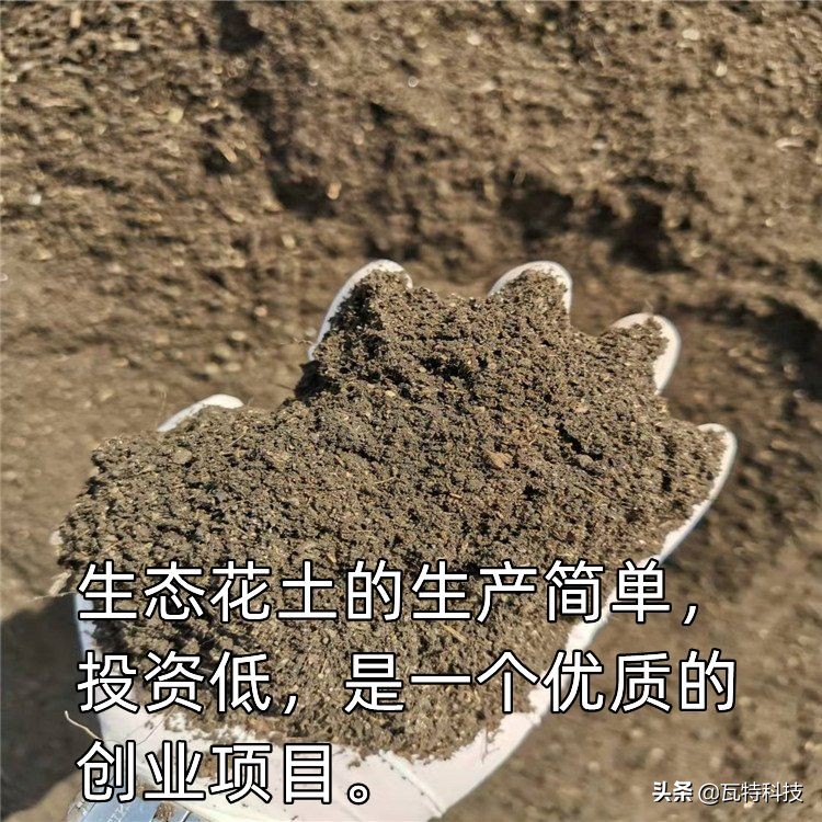 门槛低、投资不到10万的生态花土项目——创业者的商机