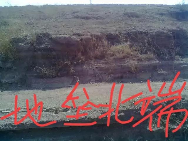 郯庐断裂带是白垩纪末期小行星环俯冲、撞击形成的地质构造