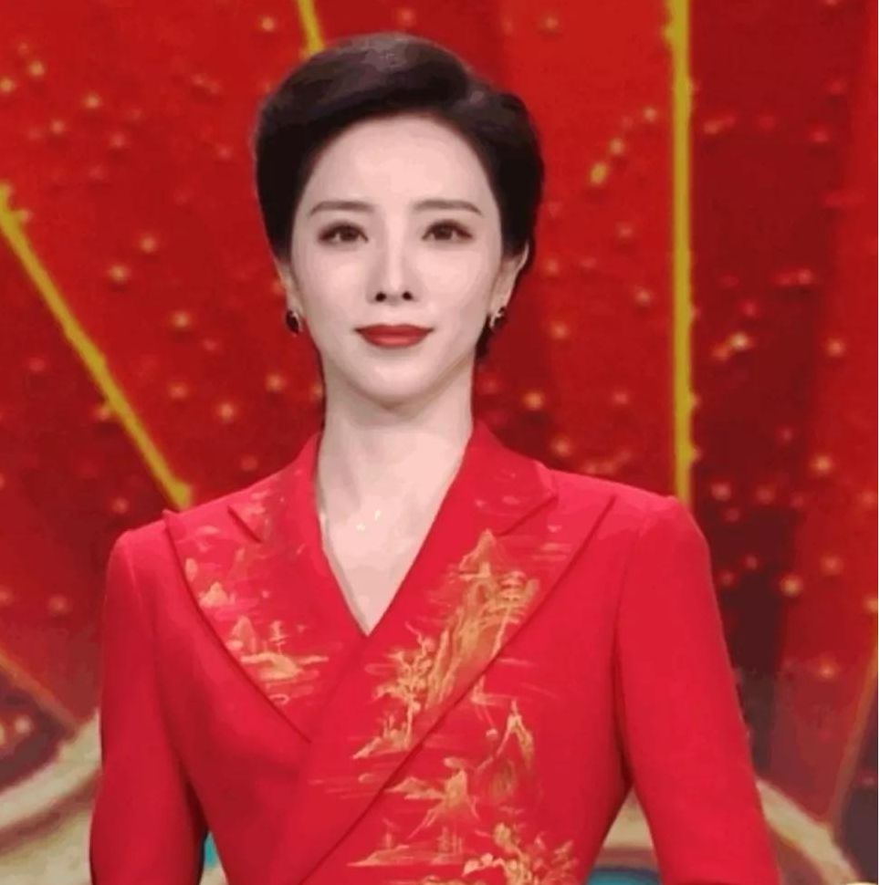 晚会主持人发型图片(历届央视春晚造型盘点) - 赤虎壹号