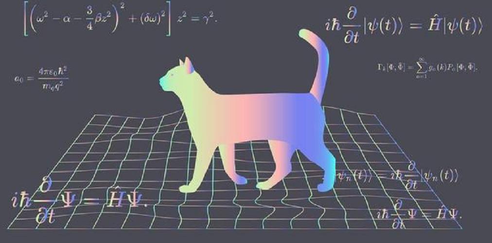 薛定谔的猫是什么意思（薛定谔的猫比喻最通俗解释）-第29张图片