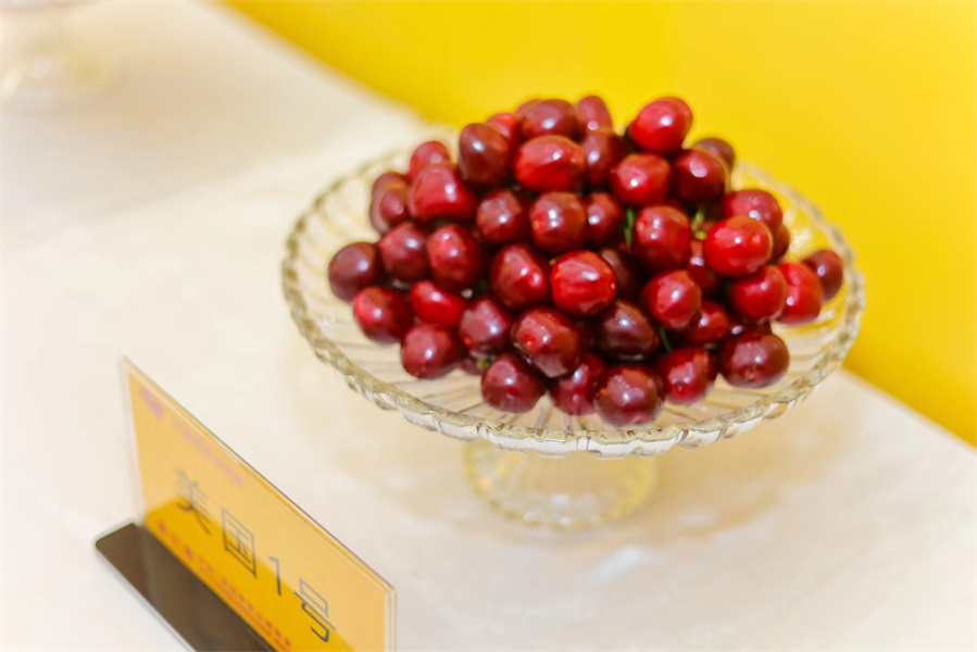 �������й����γ�ӣ����Ӫ������5��18���ڳγ���ӣ�Ҳ�ҵ��������