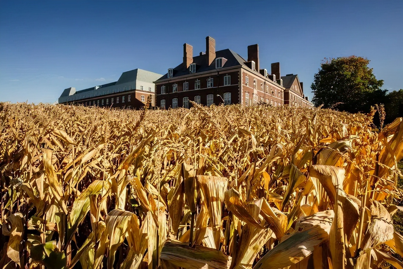 2022最权威的CS专业排名出炉，UCSD击败MIT排名第三