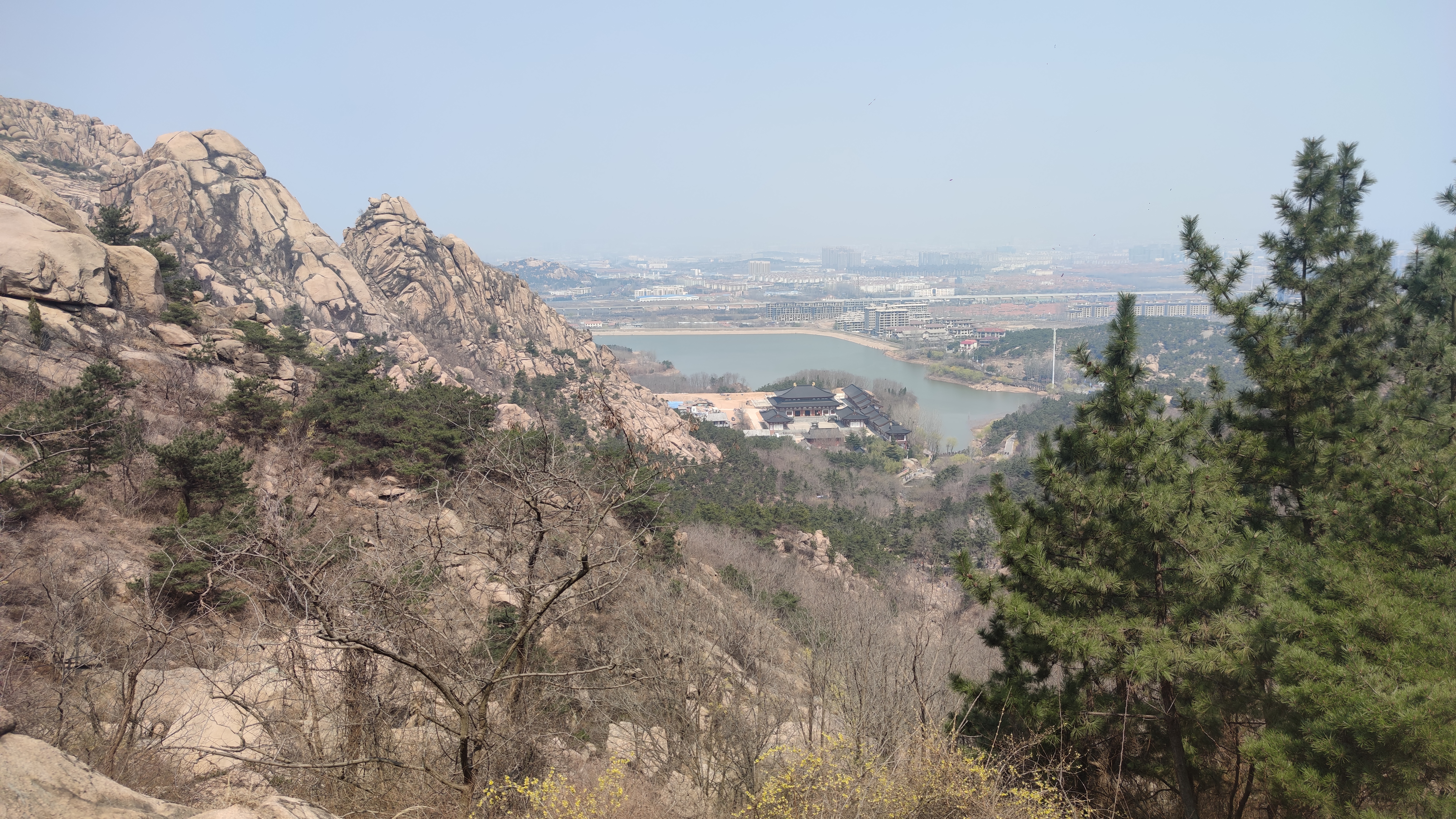 早春，大珠山探寻万亩杜鹃花开爬山游记