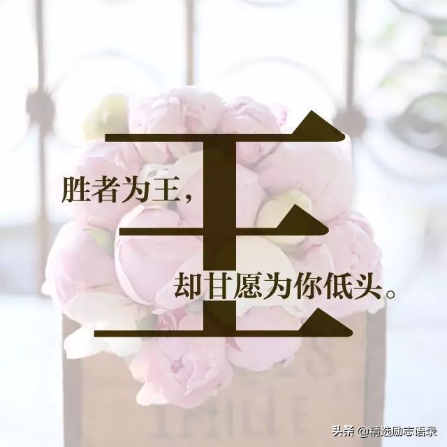 姓氏丁的唯美句子(每个姓氏里,都有一句情话,你的是什么?)_晶羽科技