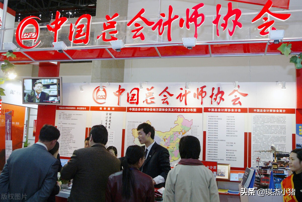 总会计师是什么职务？是什么行政级别？