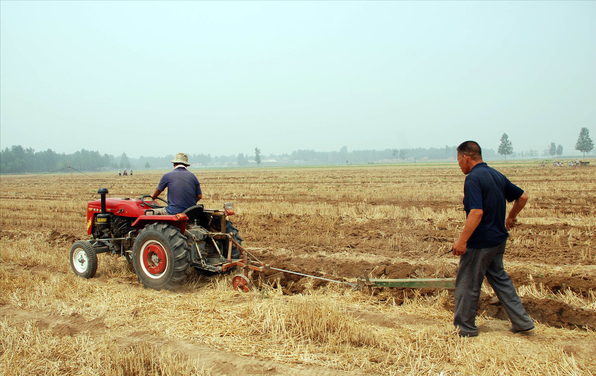 土地流转是趋势，但农民有3种流转行为不被认可，土地可能被收回