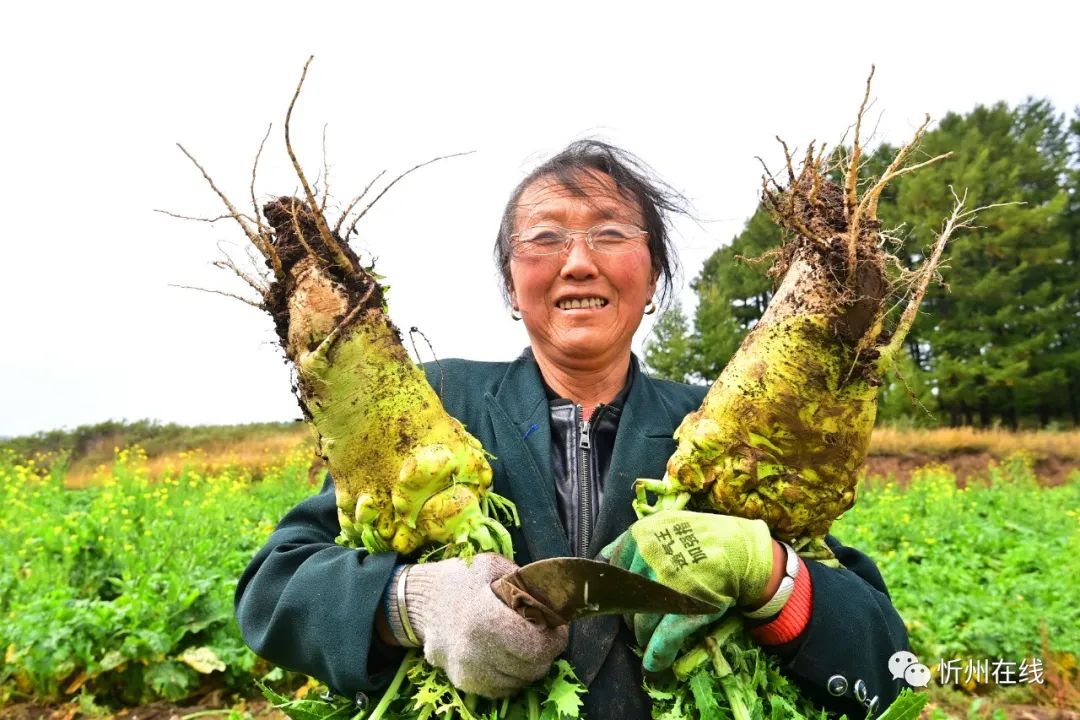 這就是神池