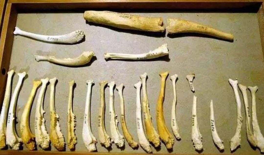 ����Ϊʲô��ʧȥ�������ǡ��������ǽ������ƣ����ǵ����ˣ�