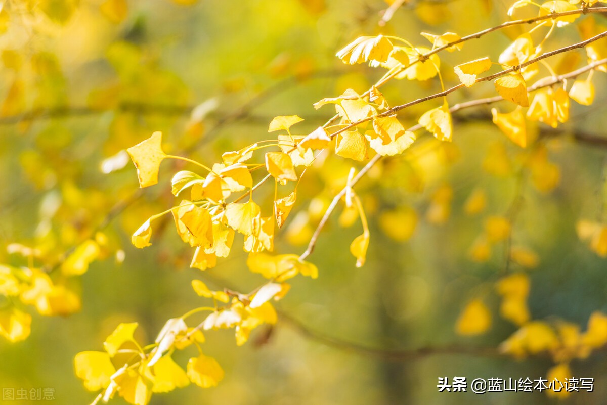 写秋天景色的作文 三年级写风景优秀作文300字 叽叽歪歪吧