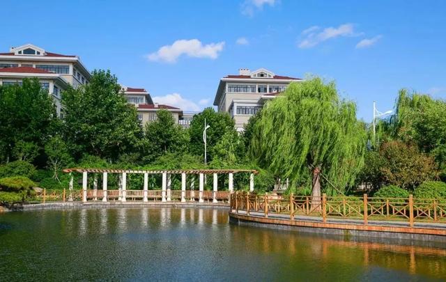 山东这些高校，已被曝光为“野鸡大学”，毕业证书一文不值