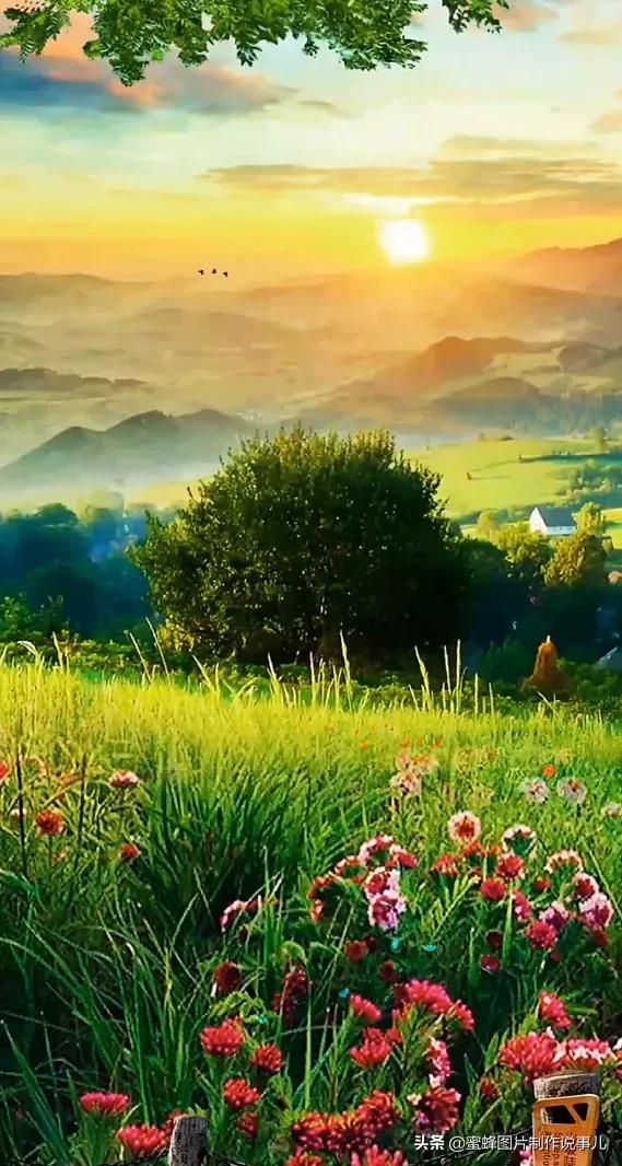发朋友圈形容风景美的句子(大自然风景优美的唯美说说) _飞翔号
