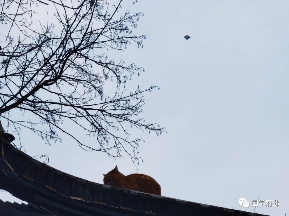 风筝，最美春日诗词