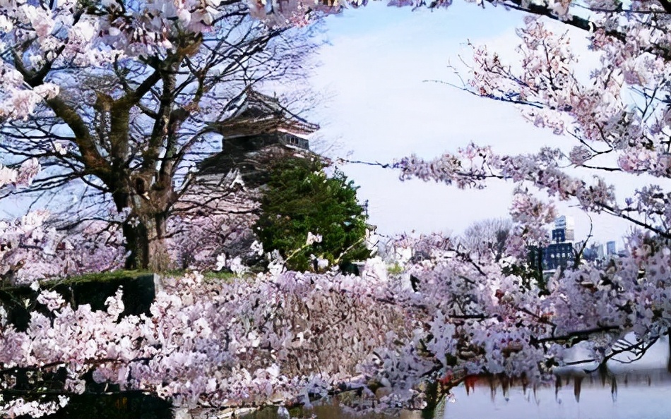 最新消息！武汉这3所学校已被认定是野鸡大学，毕业证一文不值