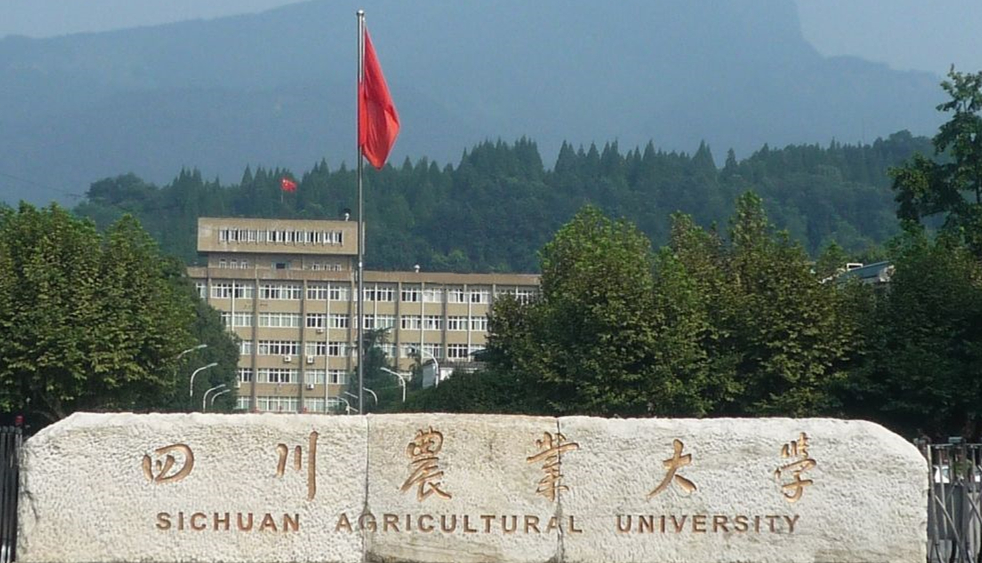 四川27所本科院校年度预算公布，9所经费超10亿元，7所增加额过亿