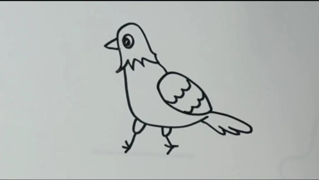 小鸟怎么画才简单又漂亮 儿童动物简笔画大全教程