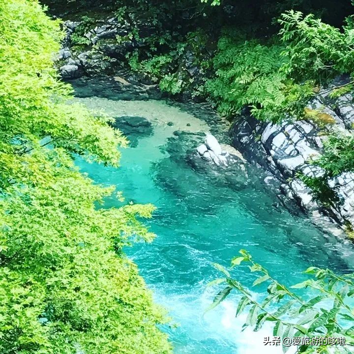 日本12处“零差评”宝藏旅行地，速度mark