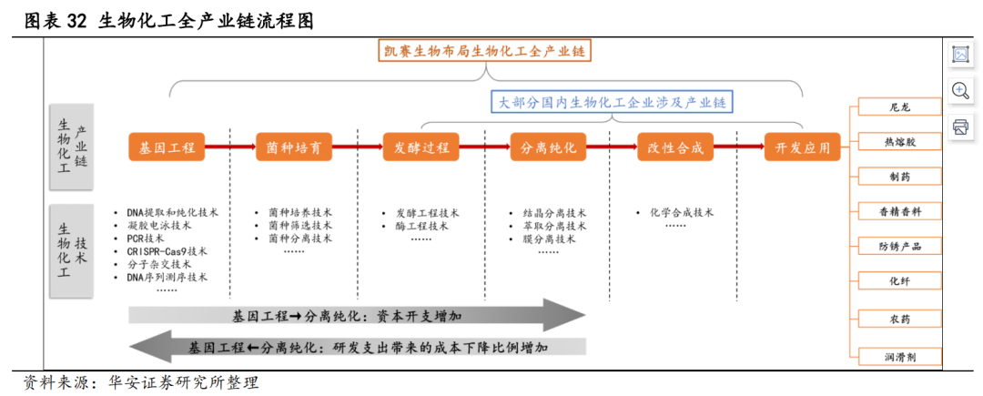 红杉、高瓴重注的赛道，一家市值不到50亿的合成生物学潜力新星