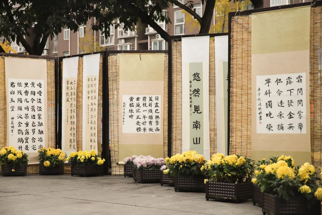 天府新区南湖小学参加“爱成都·迎大运”书法比赛并取得优异成绩
