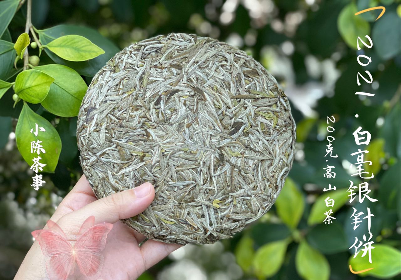 大红袍是红茶，铁观音是绿茶？六大茶类关系划分，你认清了吗？