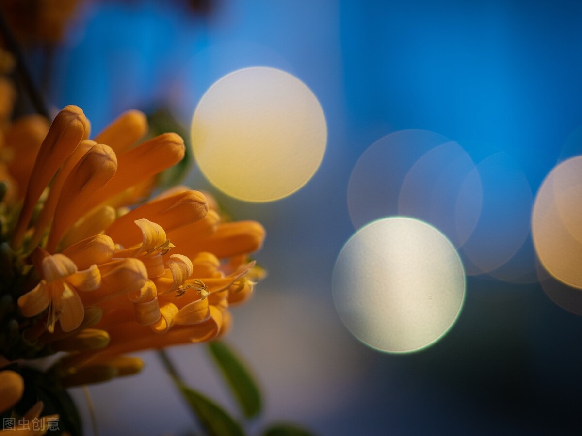 做人的最高的境界是：花未全开月未圆