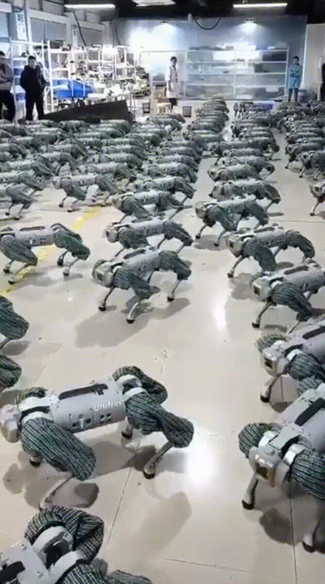 新出生的机器狗，打滚1小时后自己掌握走路，吴恩达大弟子成果