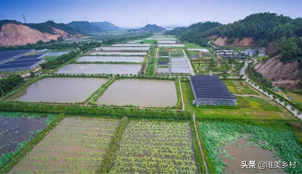 2022年，要提高粮食收储价格？八年之痒，发改委走出关键一步