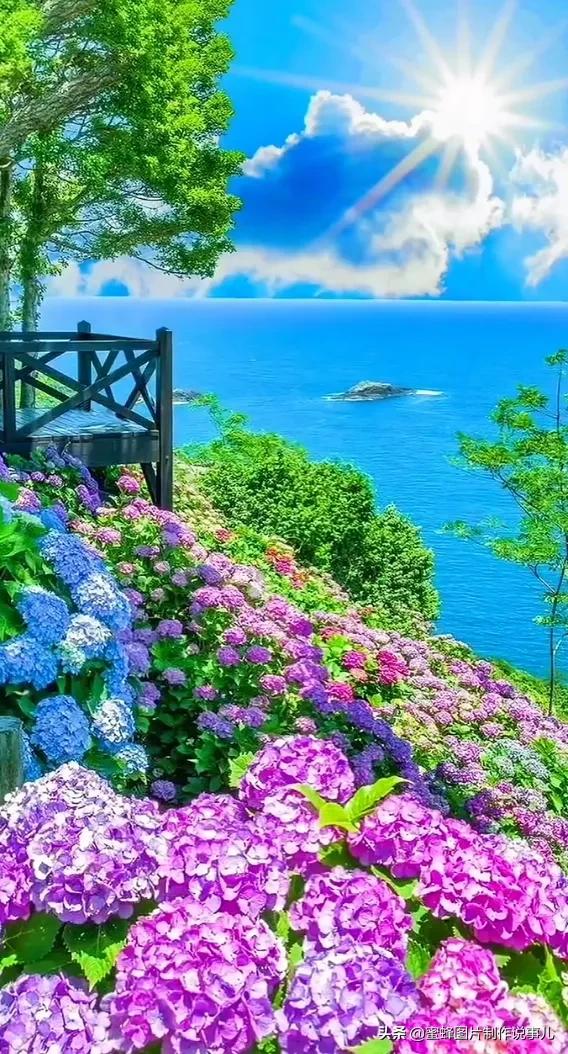 壁纸美图,自然美景如诗如画