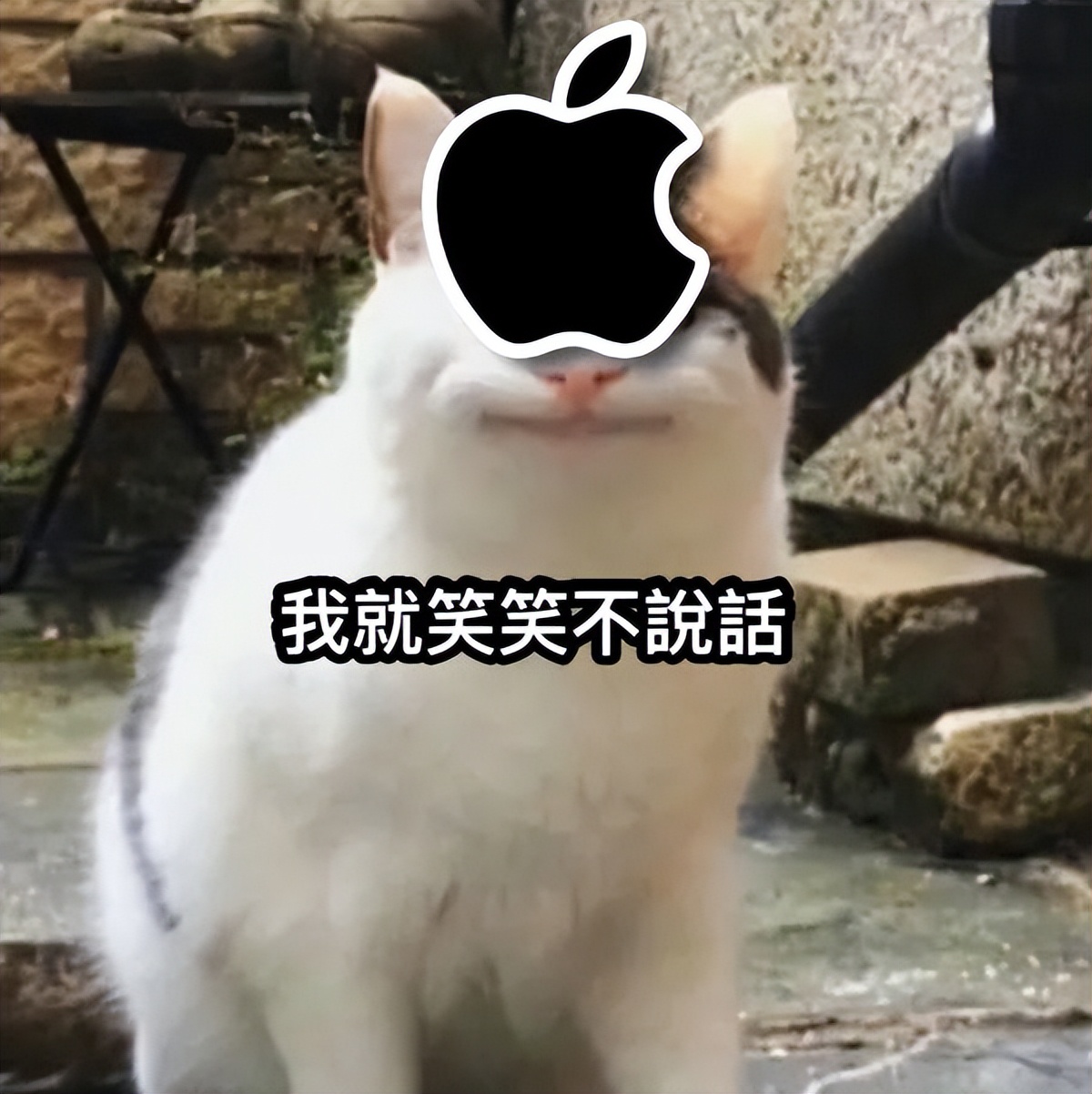 下代安卓旗舰还热不热，就看它了