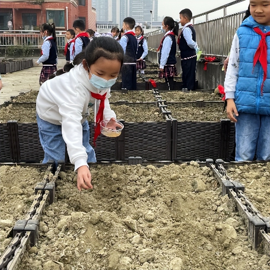 “蔬”香为伴，“勤”满校园｜中和小学开展“空中农场”种植活动