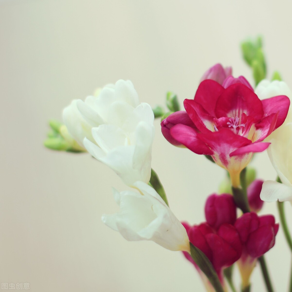 一缕阳光，一杯咖啡，一份心情，一种生活方式