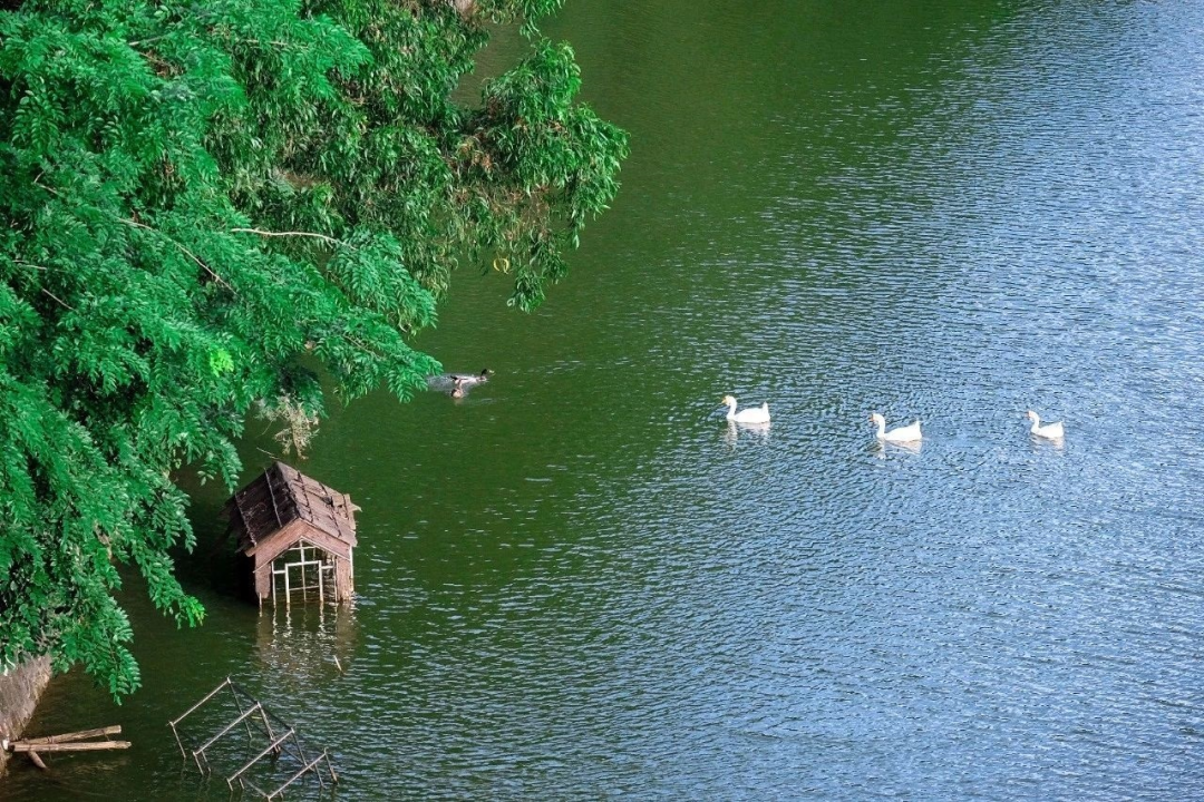 高质量3+证书高职高考院校鉴赏——中山职业技术学院