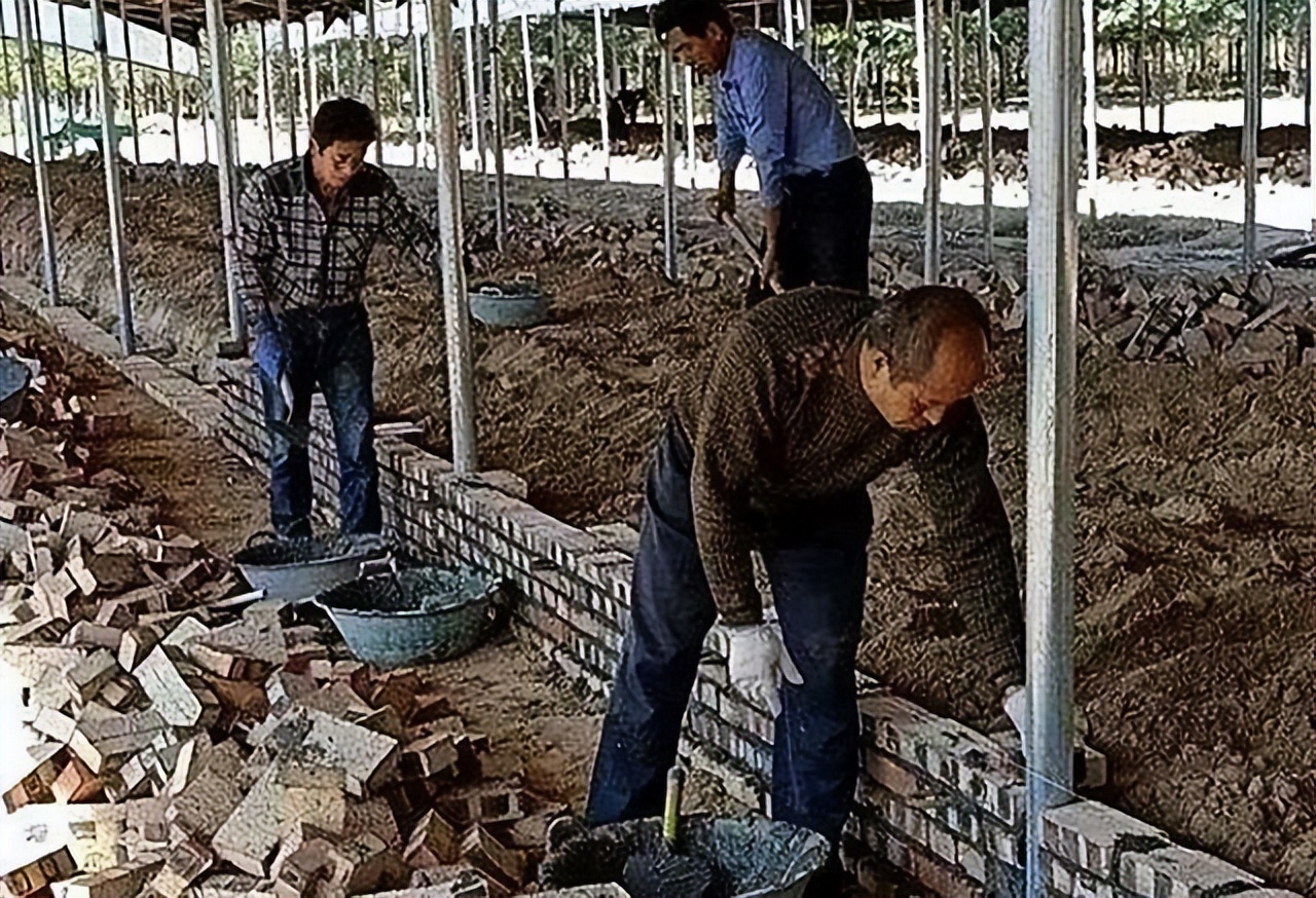 24岁学霸离世捐献5器官，丧子后第10天，父亲回老家工地搬砖