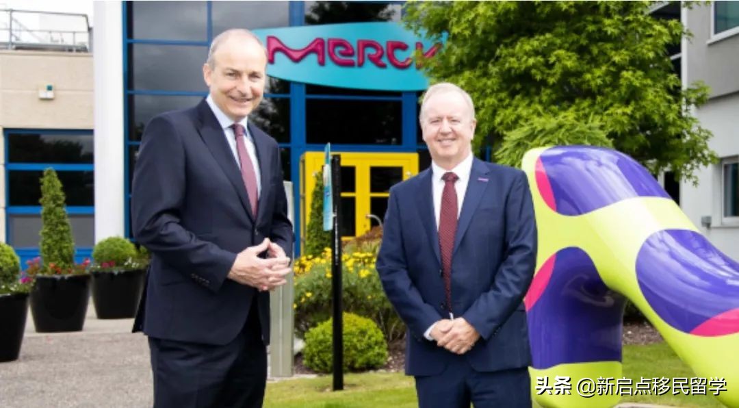 生物医药巨头:默克再投4.4亿建爱尔兰工厂！爱尔兰移民有何优势？