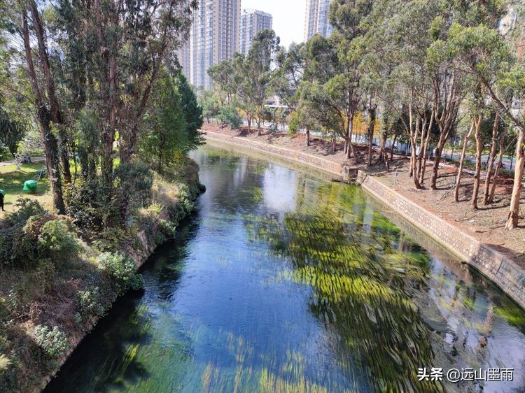 河水清澈、水草飘摇，河岸景致、色彩缤纷，初冬的昆明盘龙江，美