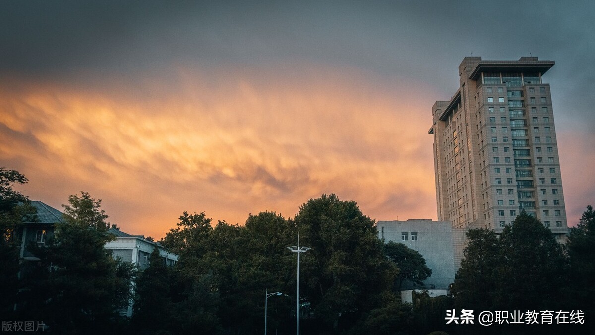 安徽这一类大学的数量全国第一，录取分数飙升