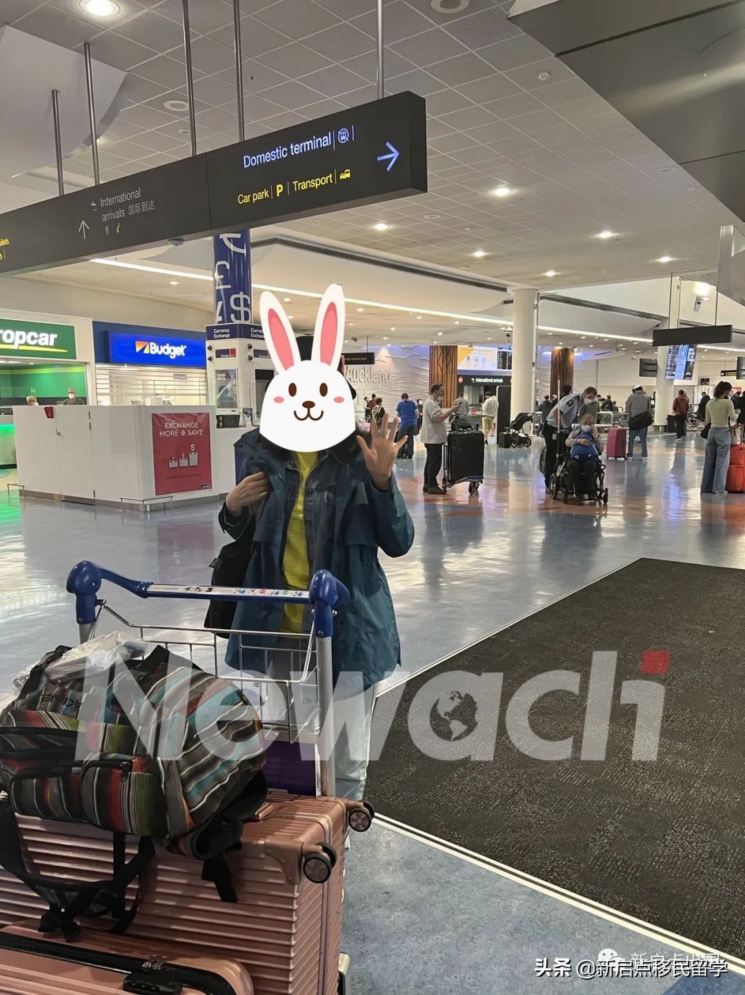 新西兰护士大赦项目客户顺利登陆！附接机及租房照片