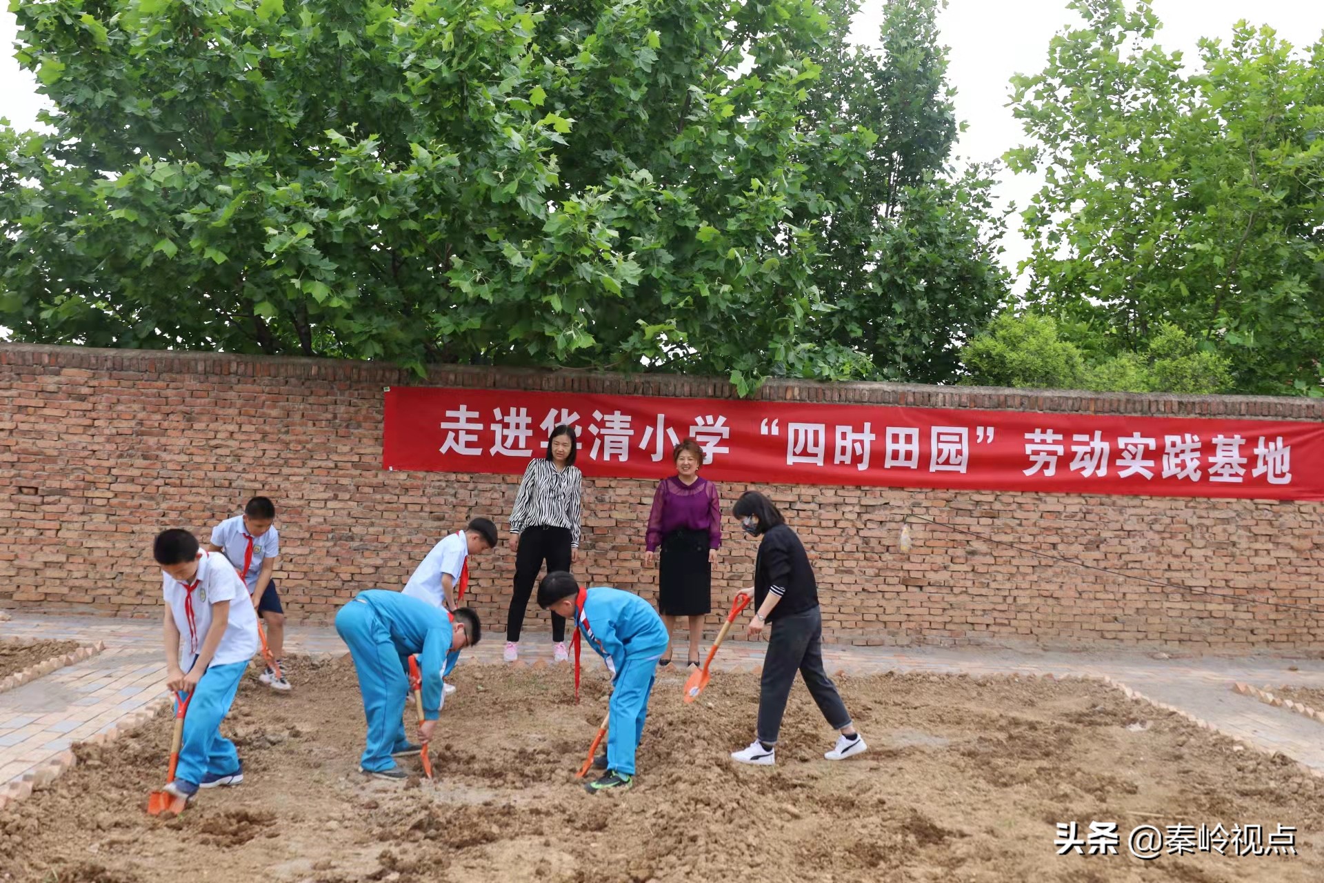 临潼区“双减”与素质教育呈现两翼齐飞的新格局