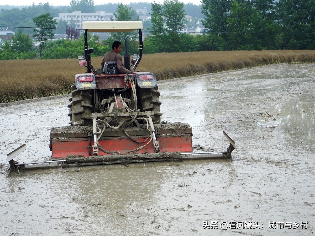 湖北宜昌：农民使用大型耕犁机耕犁水田准备种植水稻