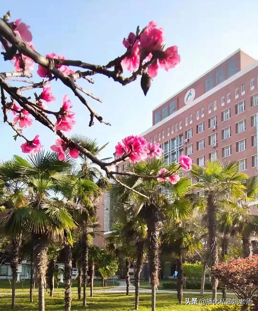 郑州中考一批次志愿怎么选？播优推荐的这几所高中都很热门