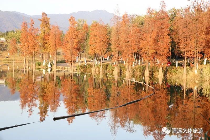 1月，飞来湖见！