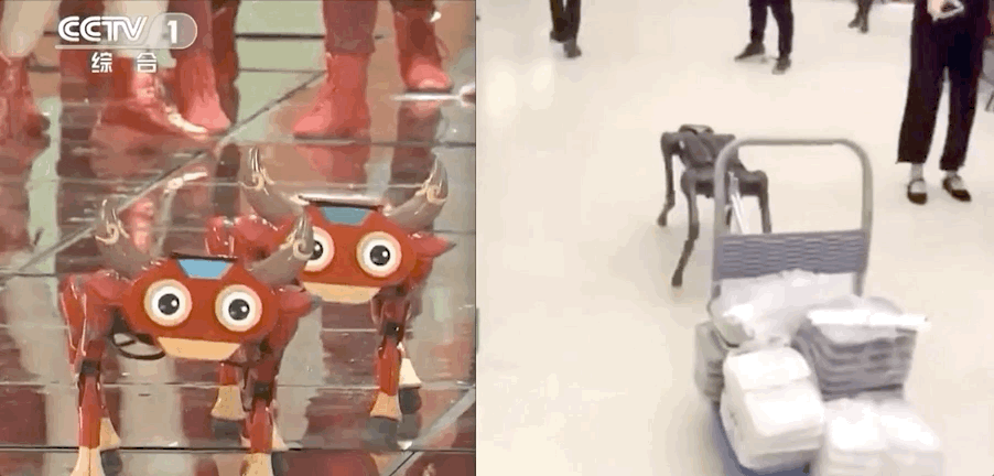 新出生的机器狗，打滚1小时后自己掌握走路，吴恩达大弟子成果
