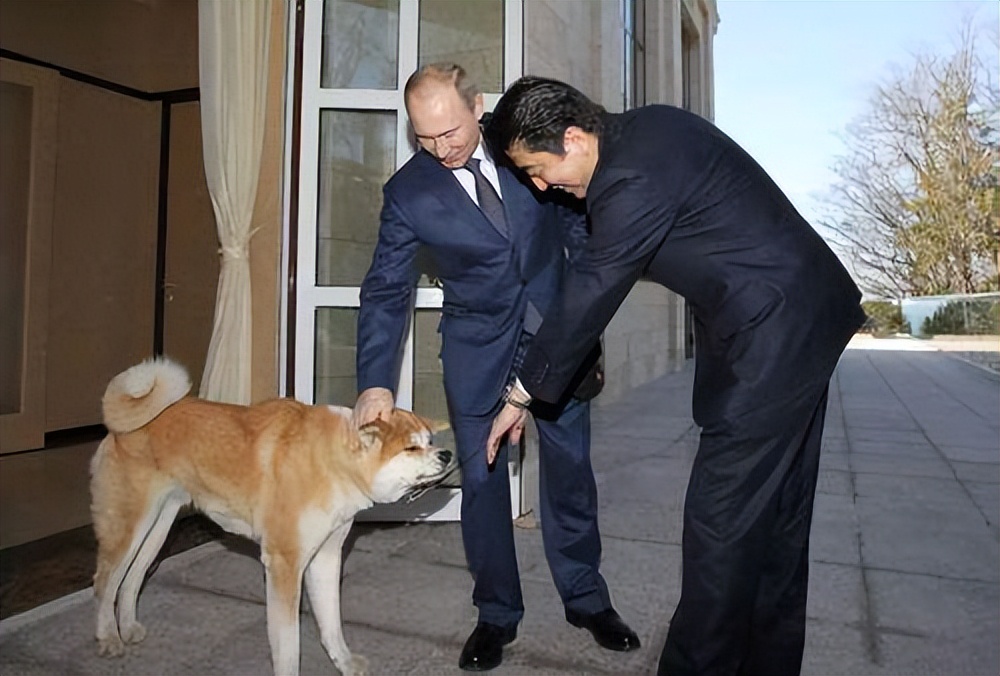 俄罗斯世界杯为什么没有日本(日本在领土争端问题上为什么拿俄罗斯毫无办法)