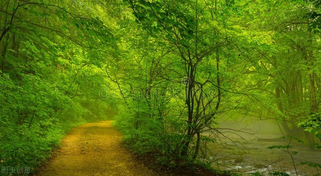 一天涨粉好几倍！他是怎么做的？