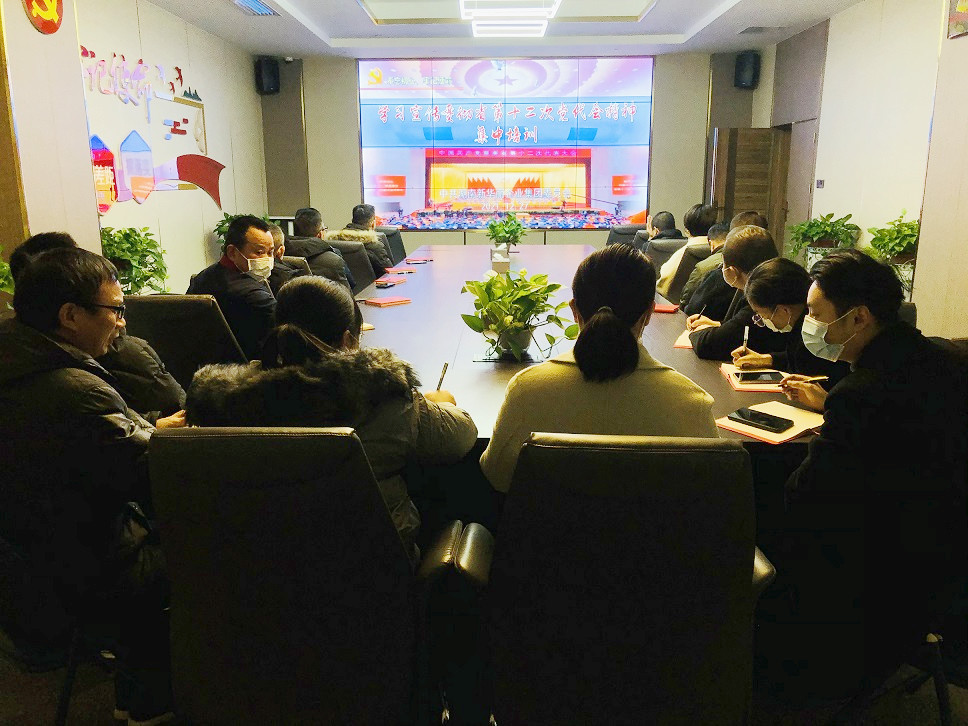 新华丽集团组织党员开展学习省第十二次党代会精神集中培训