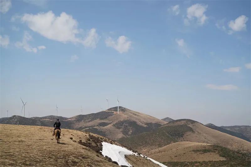 【有一种生活叫大理】跨上马背 尽览风花雪月