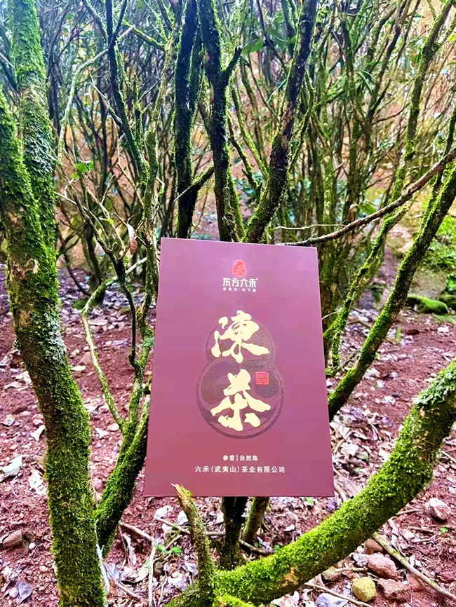 东方六禾 | 带着六禾好茶，迎接春暖花开