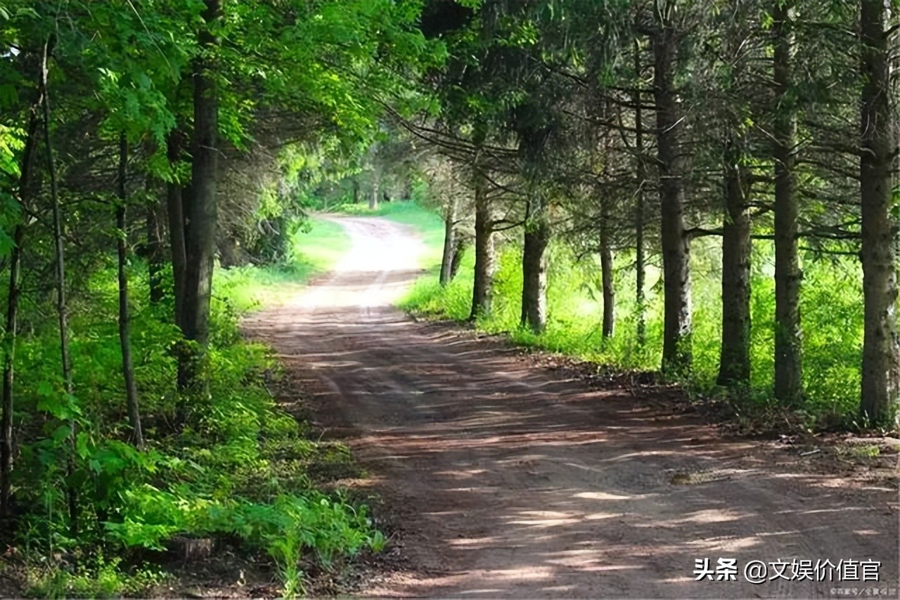 专访丨失业教培人，有人收入倍增、有人回乡“躺平”