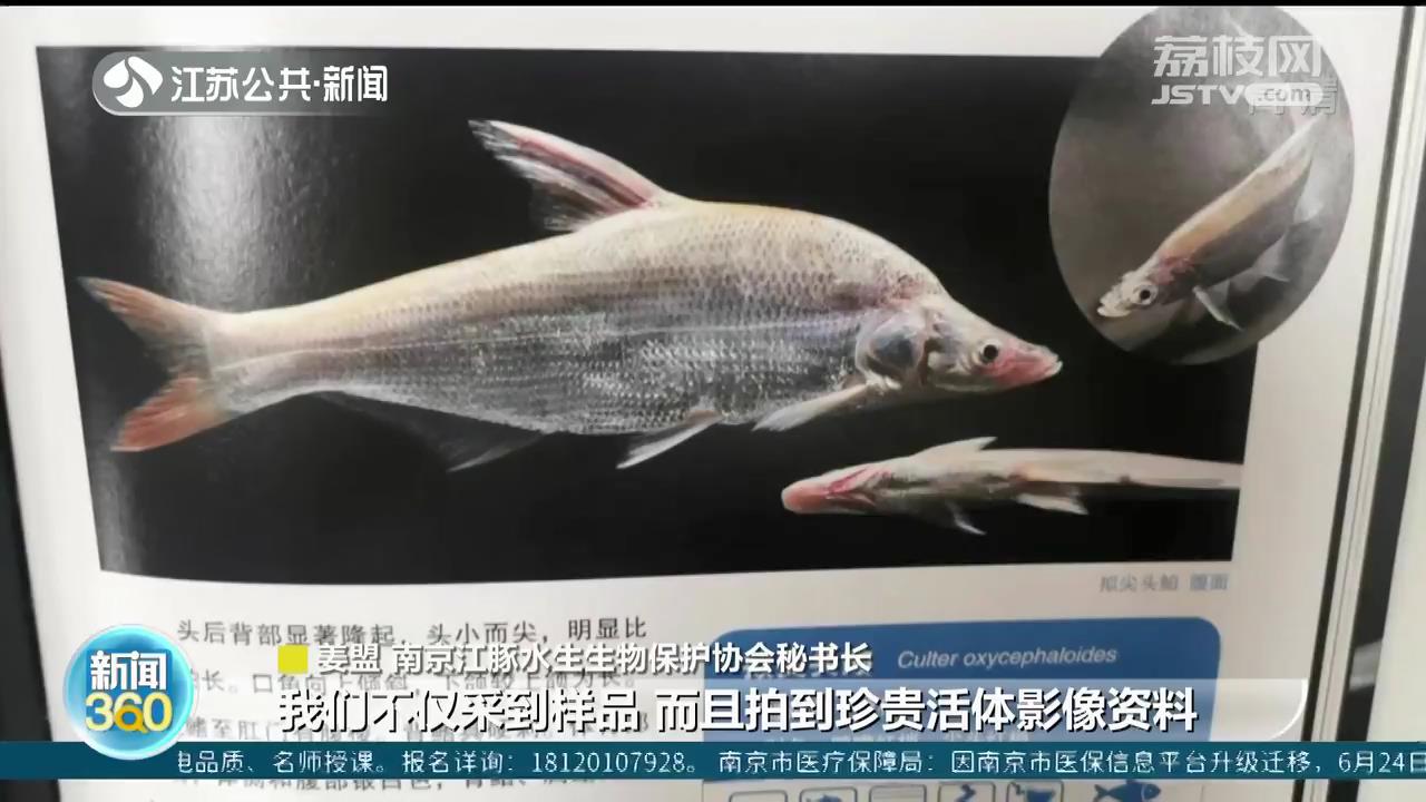 南京鱼类物种新纪录首次公布 210种水生生物揭开面纱