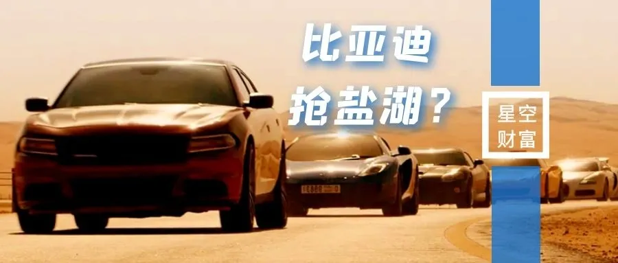 斥资近4亿拿下智利盐湖，比亚迪此举意欲何为？